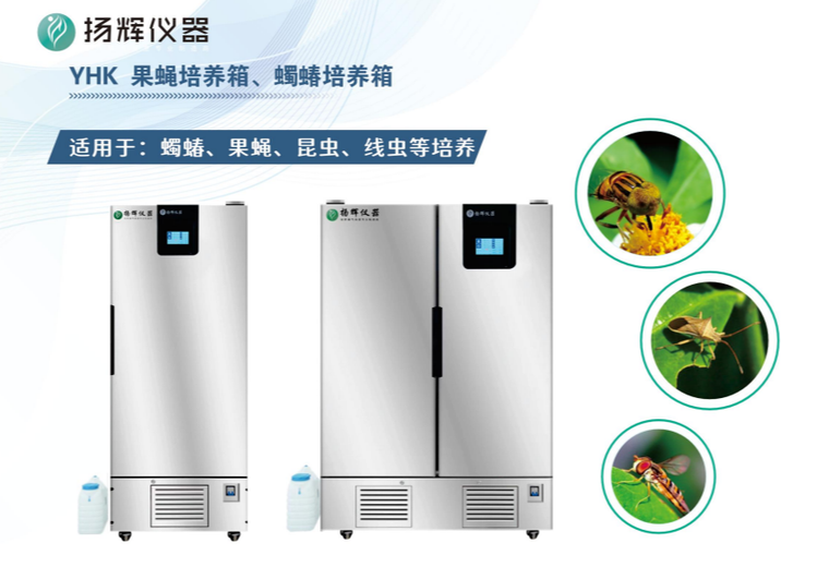 YHK果蝇培养箱与蝎蝽培养箱：适用于蝎蝽、果蝇、昆虫、线虫等多种生物培养