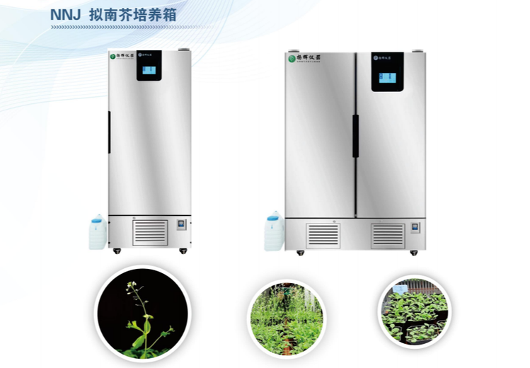 NNJ拟南芥培养箱：为拟南芥生长提供精准环境，助力植物研究高效开展