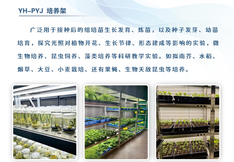 培养架：适用于组培苗生长、种子发芽及多类科研教学实验，满足多种生物培养需求