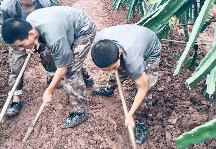 生活独立能力养成