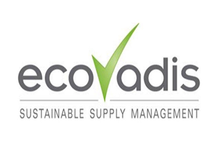 EcoVadis验厂
