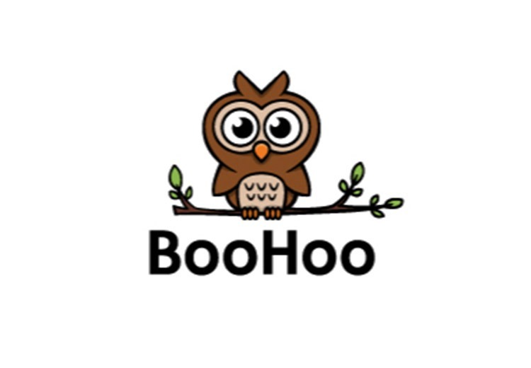 Boohoo：2006年成立的英国著名在线零售商，2007年跻身英国十大电商，为爱美人士提供低价美衣