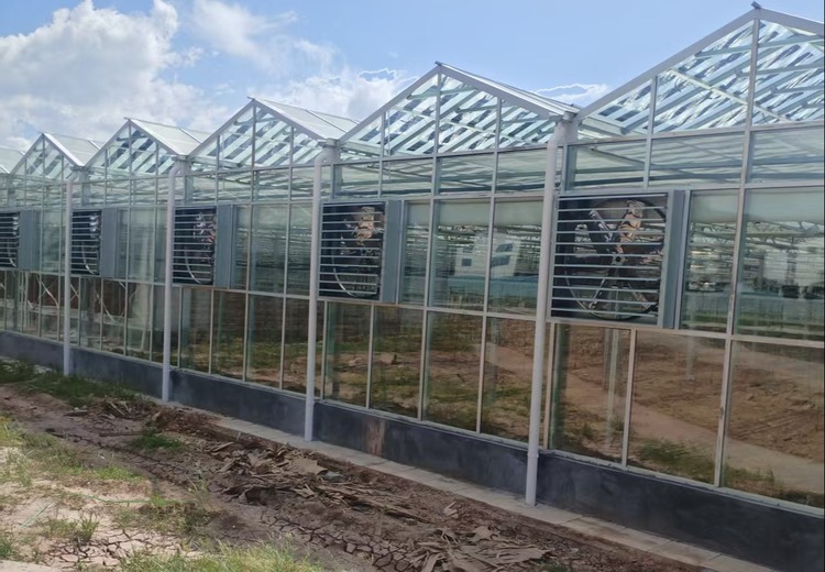 大棚专用超薄发电玻璃