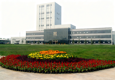 2025年度斩拌机制造商推荐，这几家不容错过！