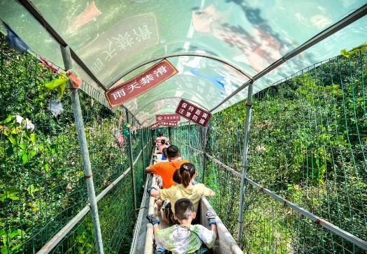 童趣旱滑
