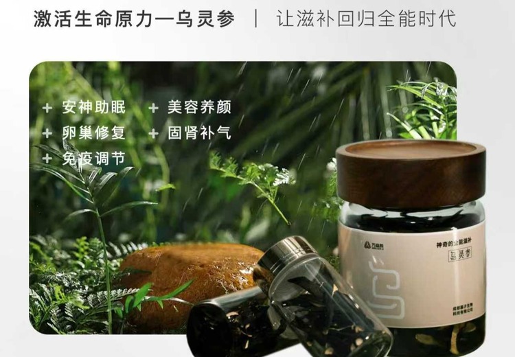 乌灵参润养身心，平衡内在状态，唤醒您潜藏的安然与活力，开启健康生活新体验！