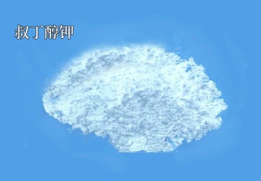 宁波市叔丁醇钾99%