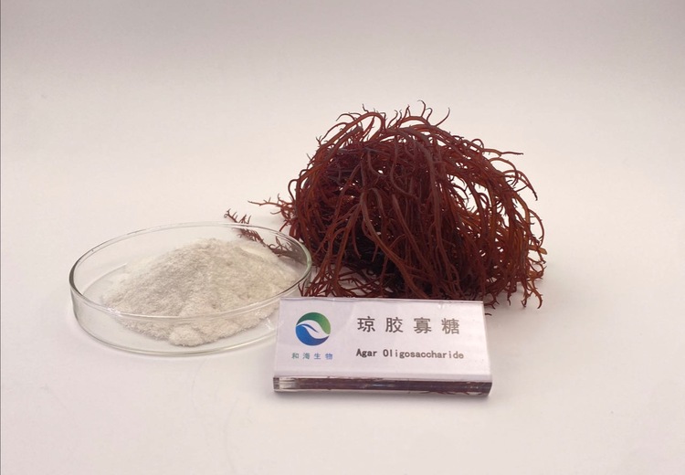 红藻寡糖系列产品