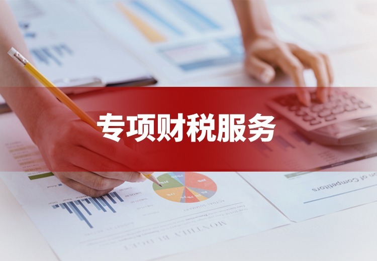 专项财税服务