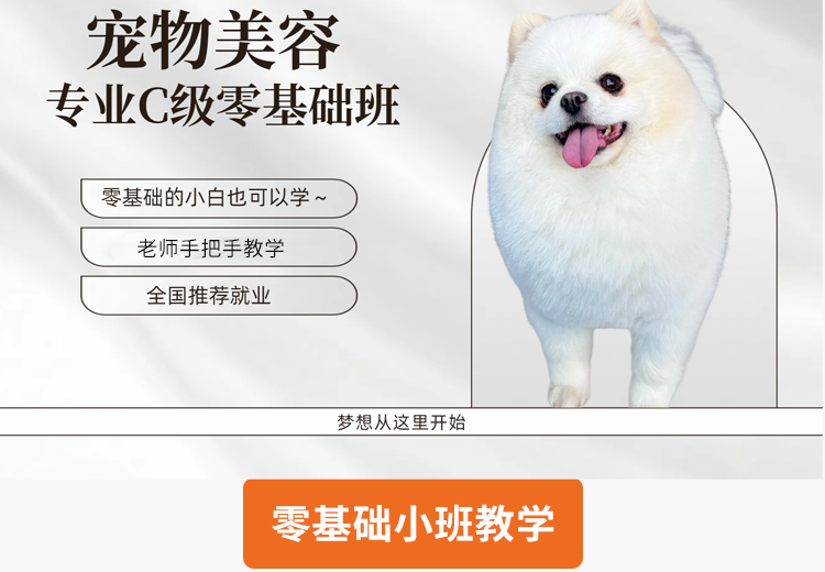 专业C级零基础班