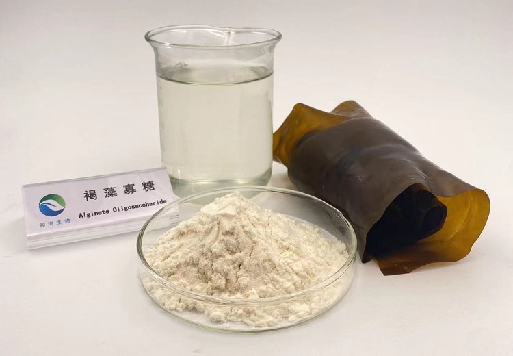 褐藻寡糖系列产品
