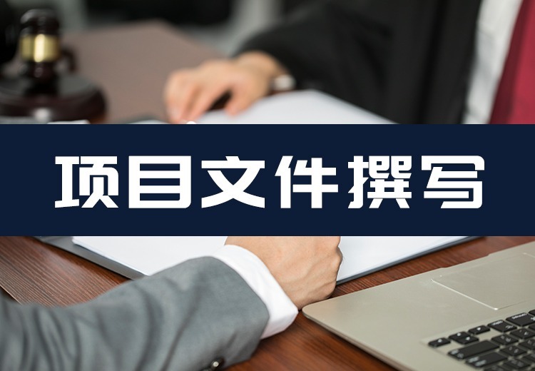 项目撰写