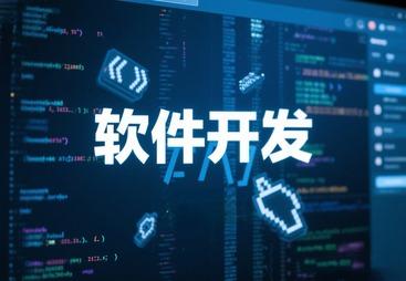 软件开发