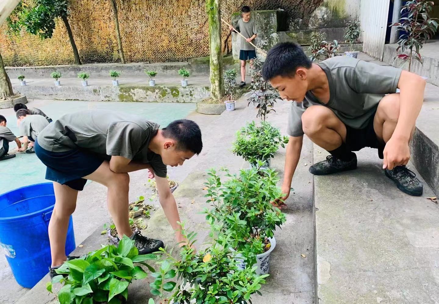 青少年素质能力提升