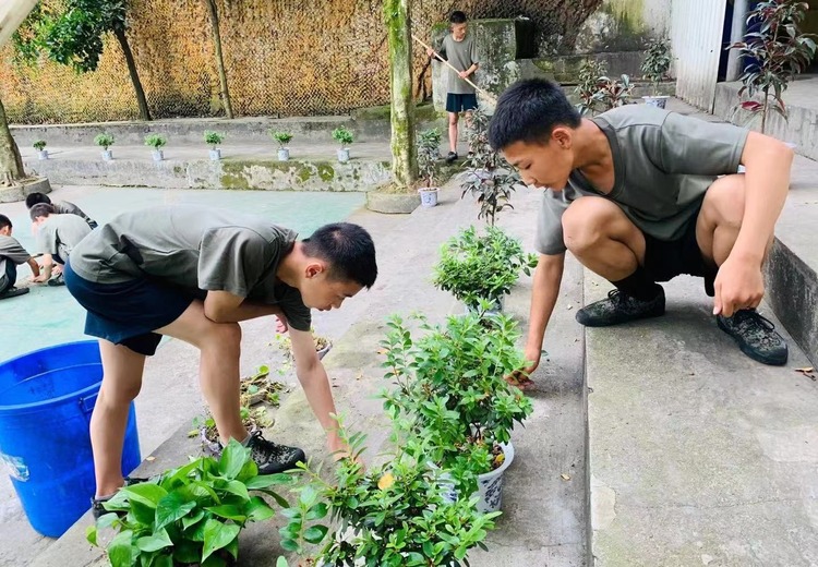 青少年素质能力提升