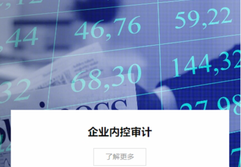 内部控制审计