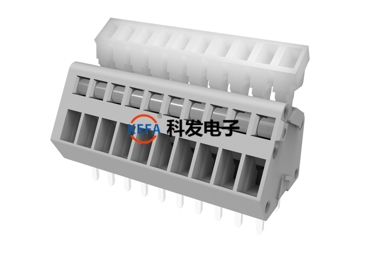 图片展示：两张独特图片带来别样视觉体验，带你领略未知精彩画面