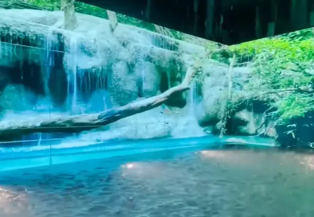 暴风雨spa