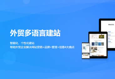 泰州市外贸多语言建站
