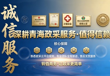 2024-2025年海西州本级预算单位公务用车维修保养服务框架协议采购项目服务期延期的通知