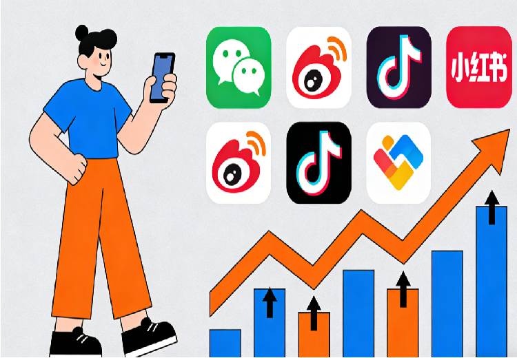 新媒体拍摄剪辑运营全能班