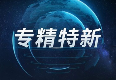 专精特新