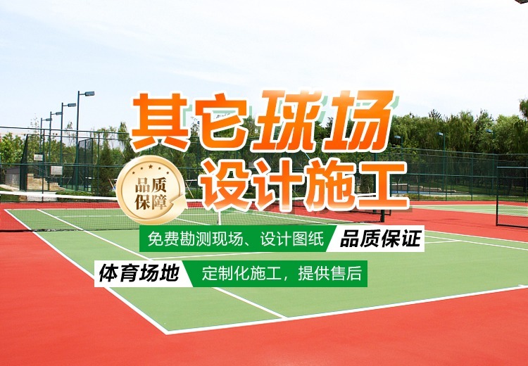 其他球场设计施工