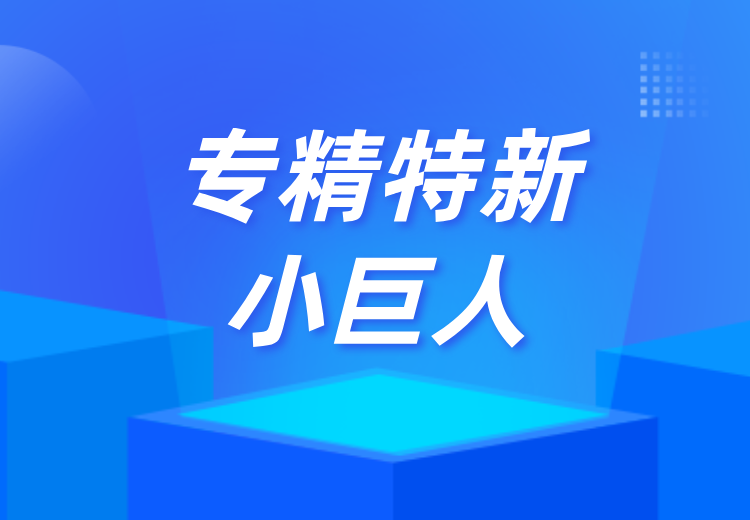 专精特新小巨人