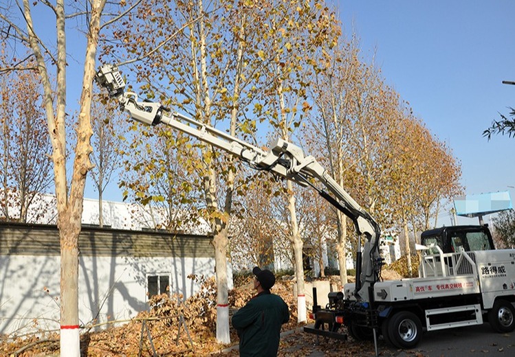 高空伐木车RWQ811