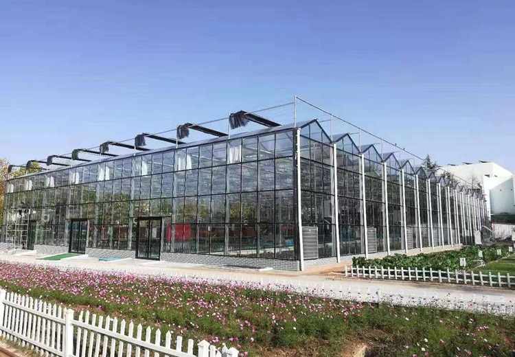 玻璃温室定制