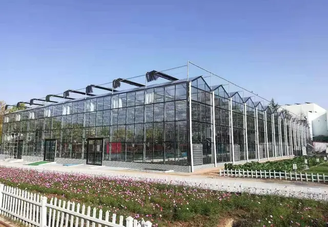 玻璃温室定制