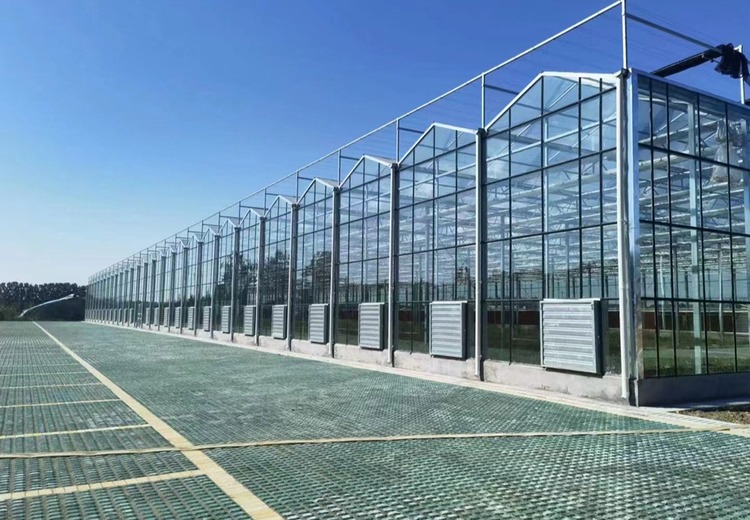 智能玻璃温室