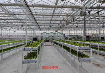 无土栽培温室