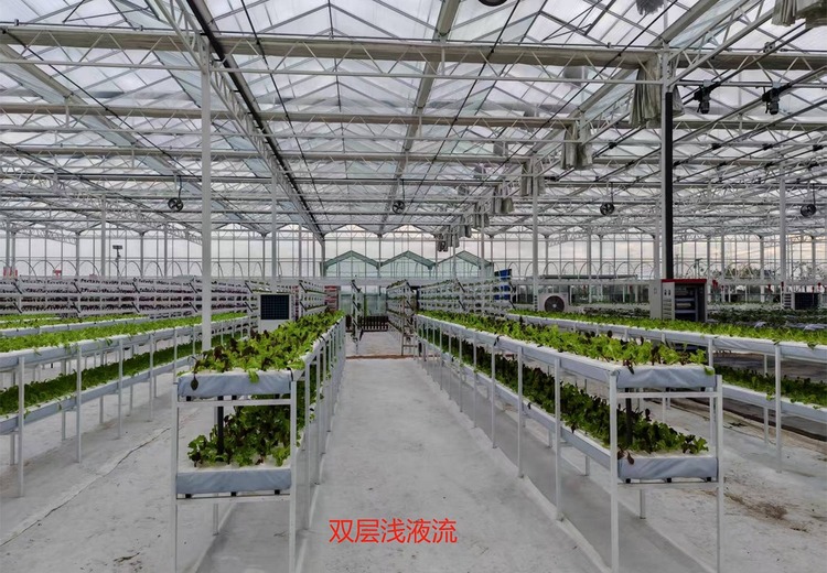 无土栽培温室