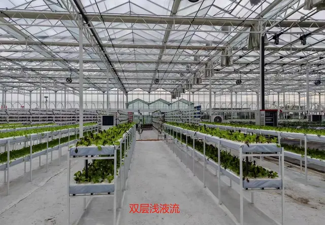 无土栽培温室