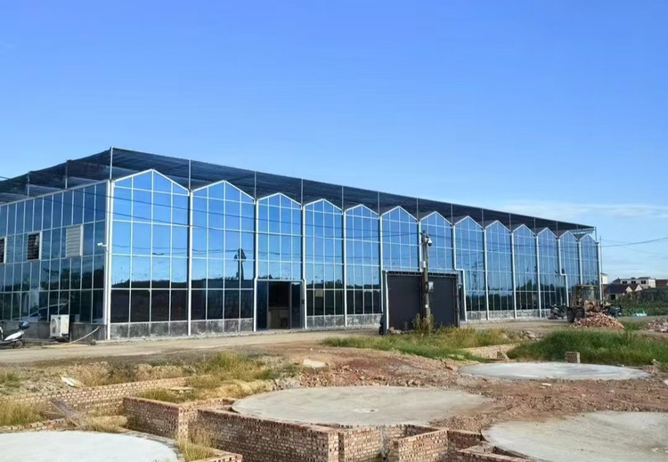 玻璃温室厂家