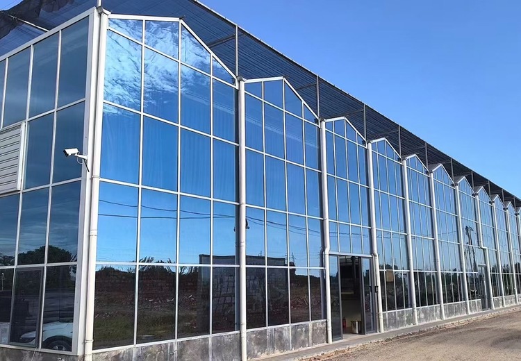 玻璃温室建造