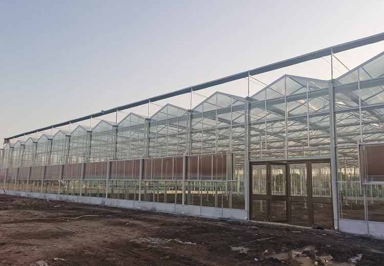 农业玻璃温室大棚