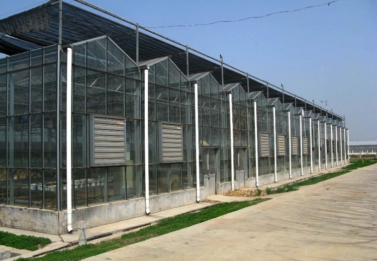 智能玻璃温室