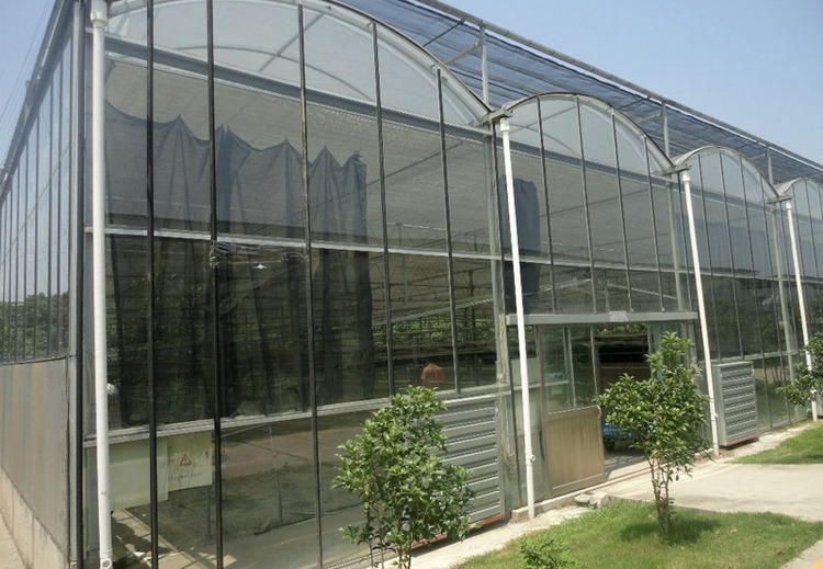 智能温室大棚厂家