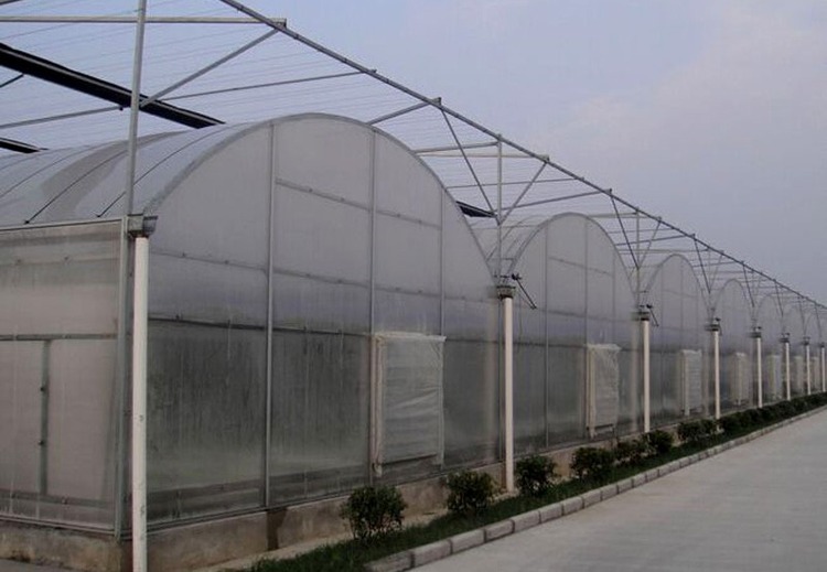 连栋温室