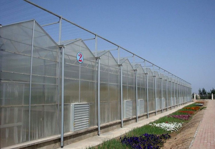 连栋温室大棚