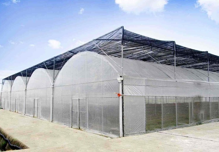 连栋温室大棚建设