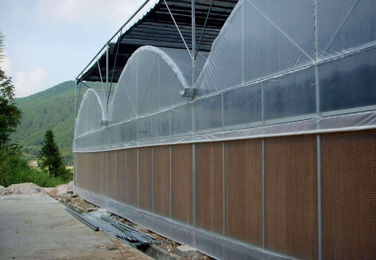 连栋温室大棚建造