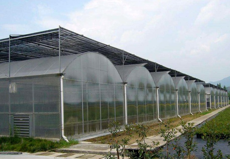 连栋薄膜大棚建设