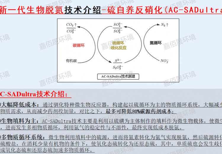 硫自养反硝化技术
