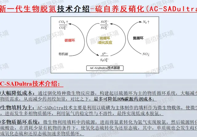 硫自养反硝化技术