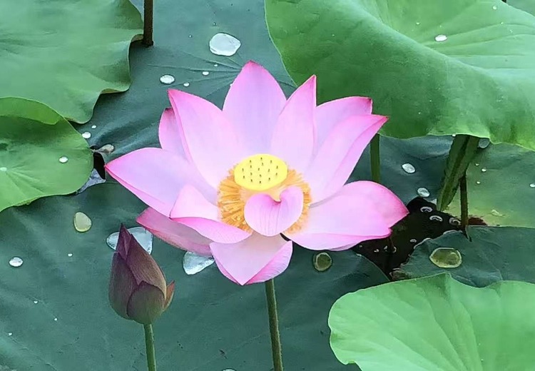 产供销一站式服务体系：打通产业链各环节，实现高效协同与资源优化配置