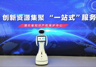 【科梦奇】迎宾机器人小鱼Ⅱ代：为湖北省知识产权保护中心注入新活力