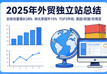 2025年外贸独立站发展总结